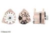 FORD V91BX10300AA Alternator